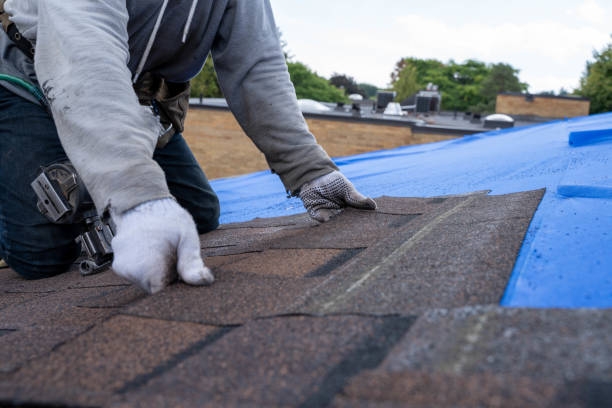 Best Roof Gutter Cleaning  in Brookland, AR